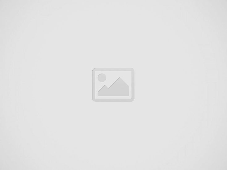 onwin 1802