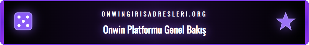 Onwin platformunun kullanıcı dostu arayüzü ve menü seçenekleri.