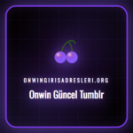 Onwin güncel Tumblr adresiyle platforma erişen bir kullanıcının bilgisayar ekranı.